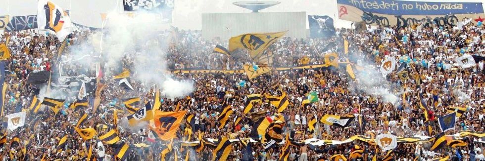 Dany Rulfus banner
