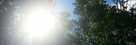 ElijahRiojas's profile banner image