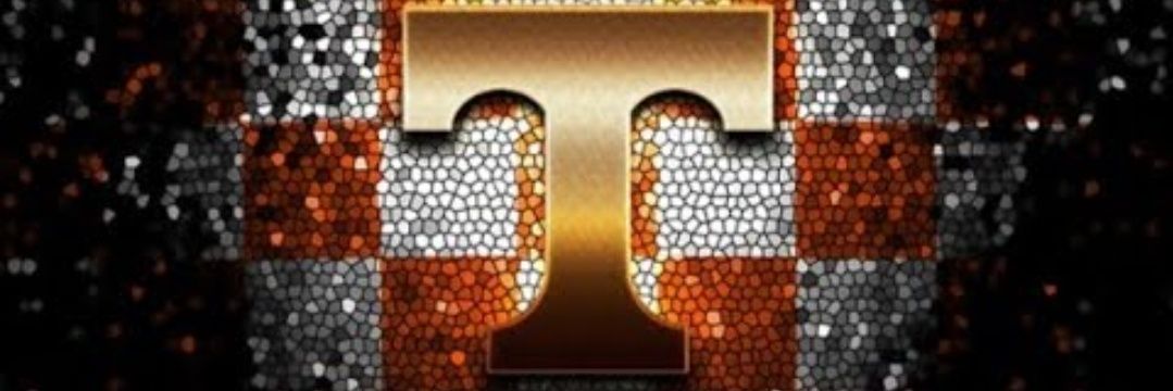 LadyWry's profile banner image
