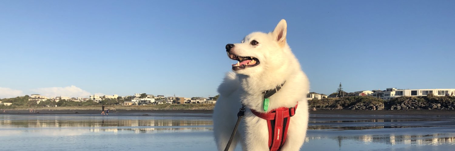 Ehhldous's profile banner image