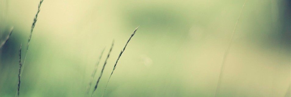 nusha_G's profile banner image