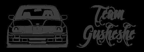 BMW GUSHESHE SA™ banner
