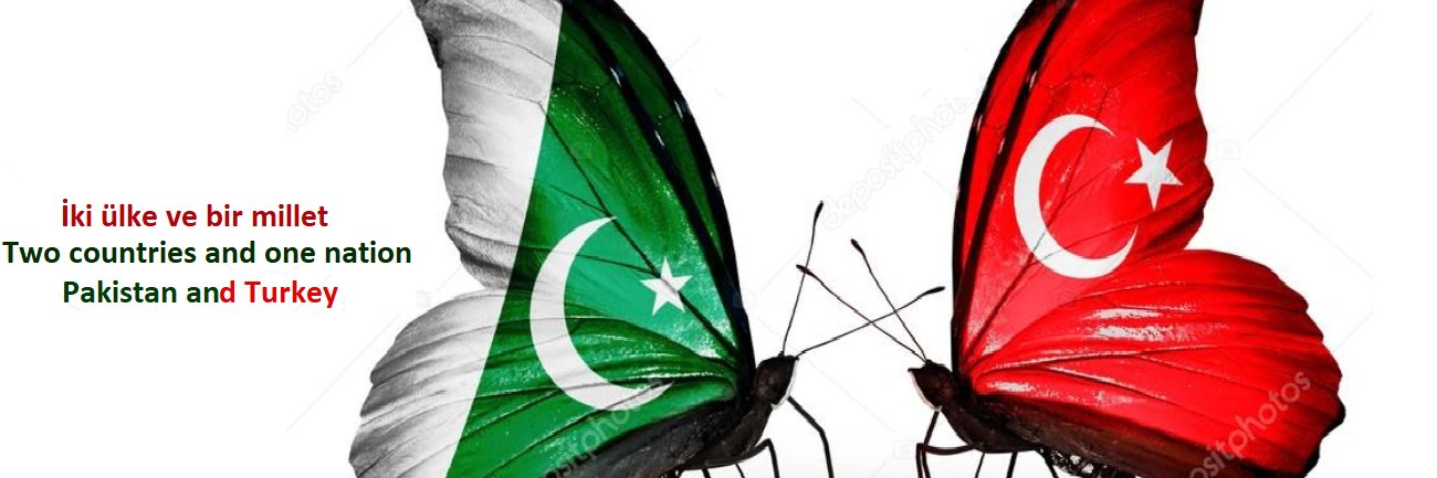Aliwaseem54's profile banner image
