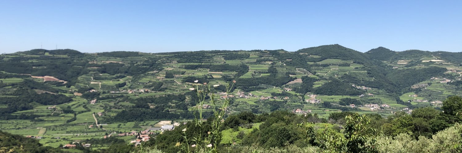 SoaveWine's profile banner image