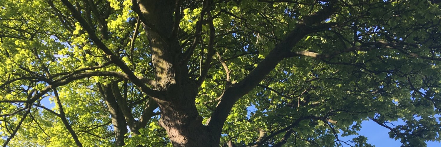 HannahSusTeam's profile banner image