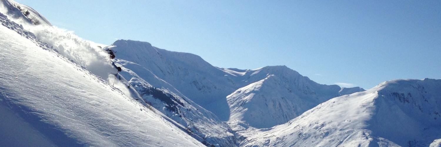 Eyal S. Goldwerger banner