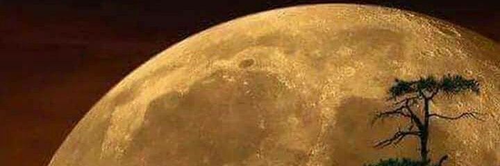mwanjenoch's profile banner image