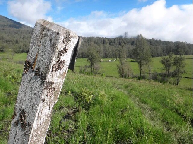 Amaliahiking's profile banner image