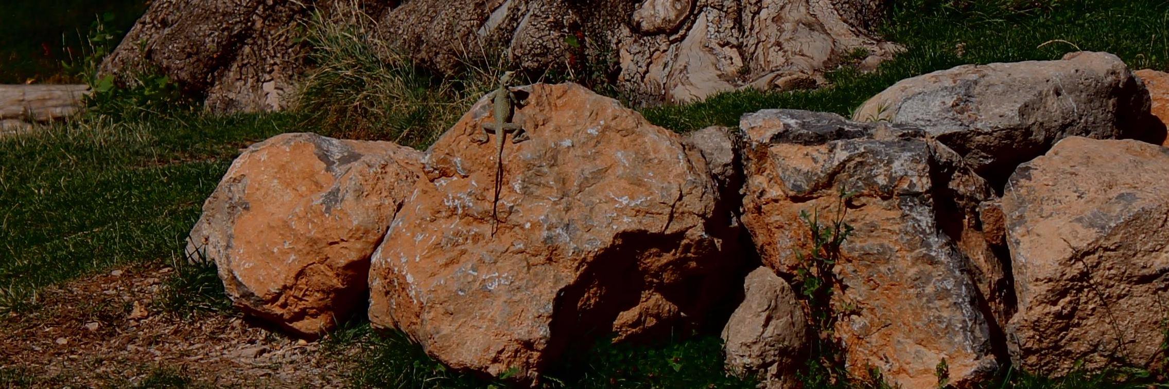 gorilaz127's profile banner image