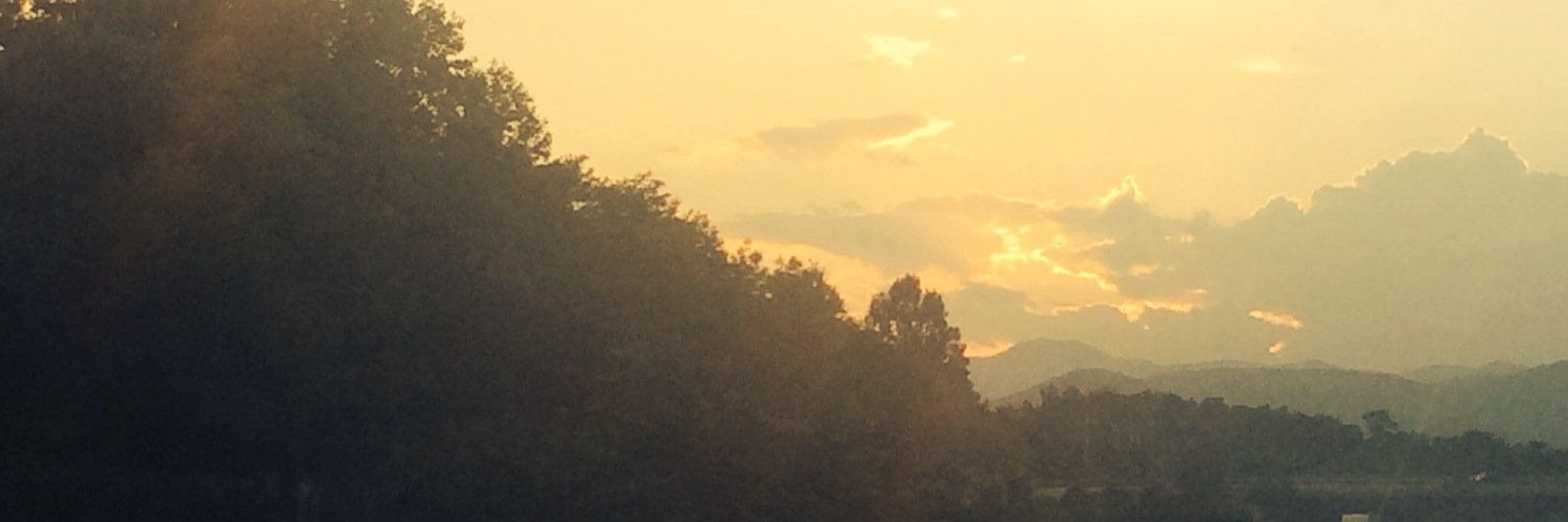 EmilyJMcCollin's profile banner image