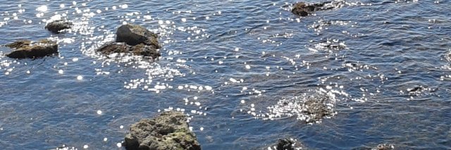 Agnese Lazzari banner