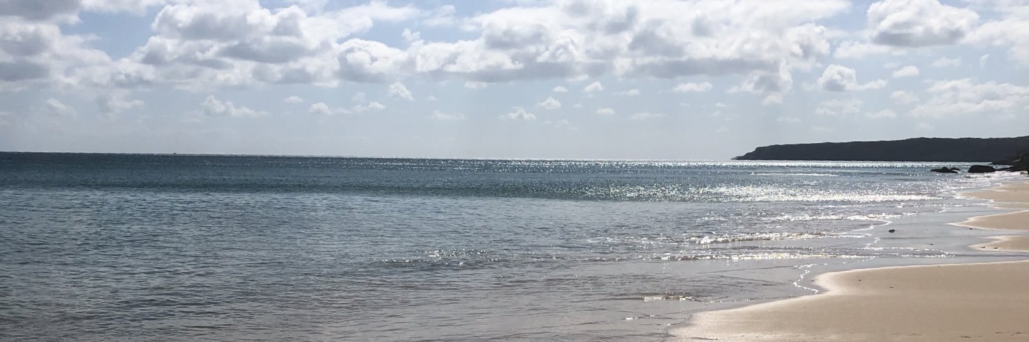 AlisonReedd7's profile banner image