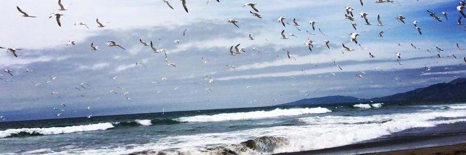 IldiNagy91's profile banner image