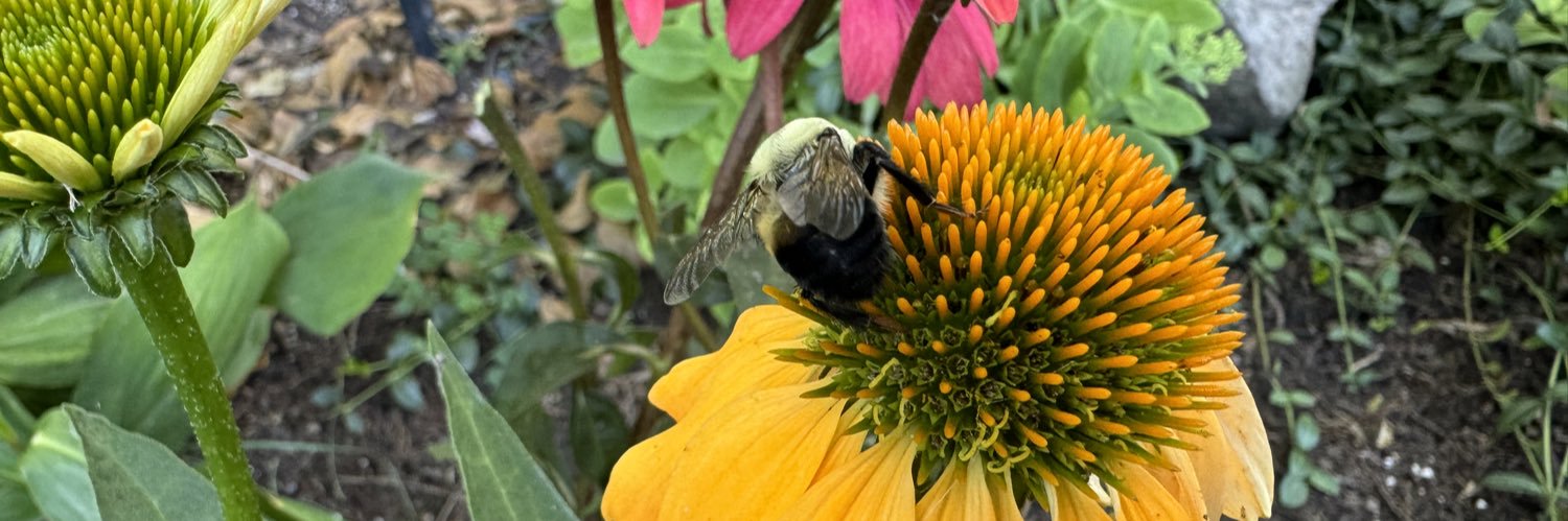 James G. 🇦🇺🇨🇦🏳️‍🌈 banner