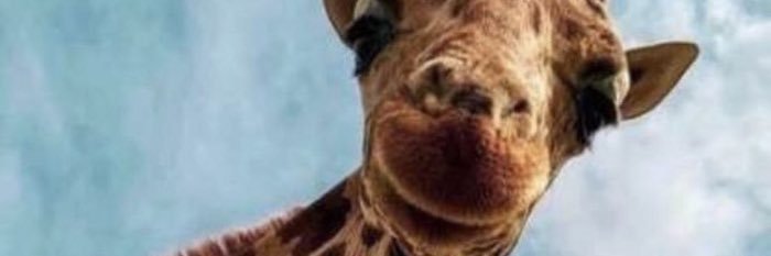 coreeedao_'s profile banner image