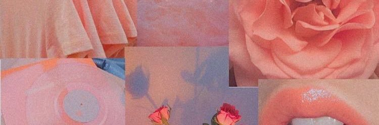 phoenixhoule's profile banner image
