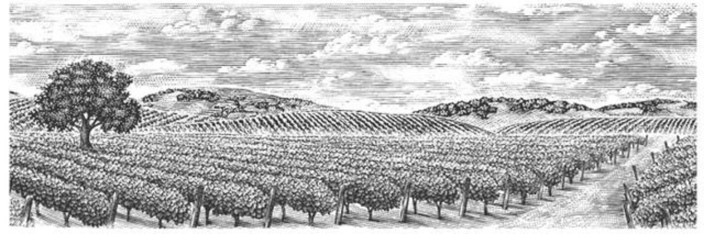 purewinewisco's profile banner image