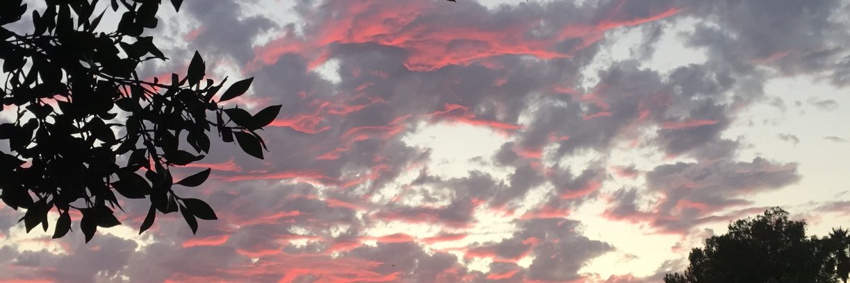 HeatherKenyon's profile banner image
