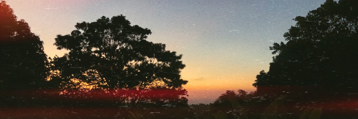 shemardw_'s profile banner image