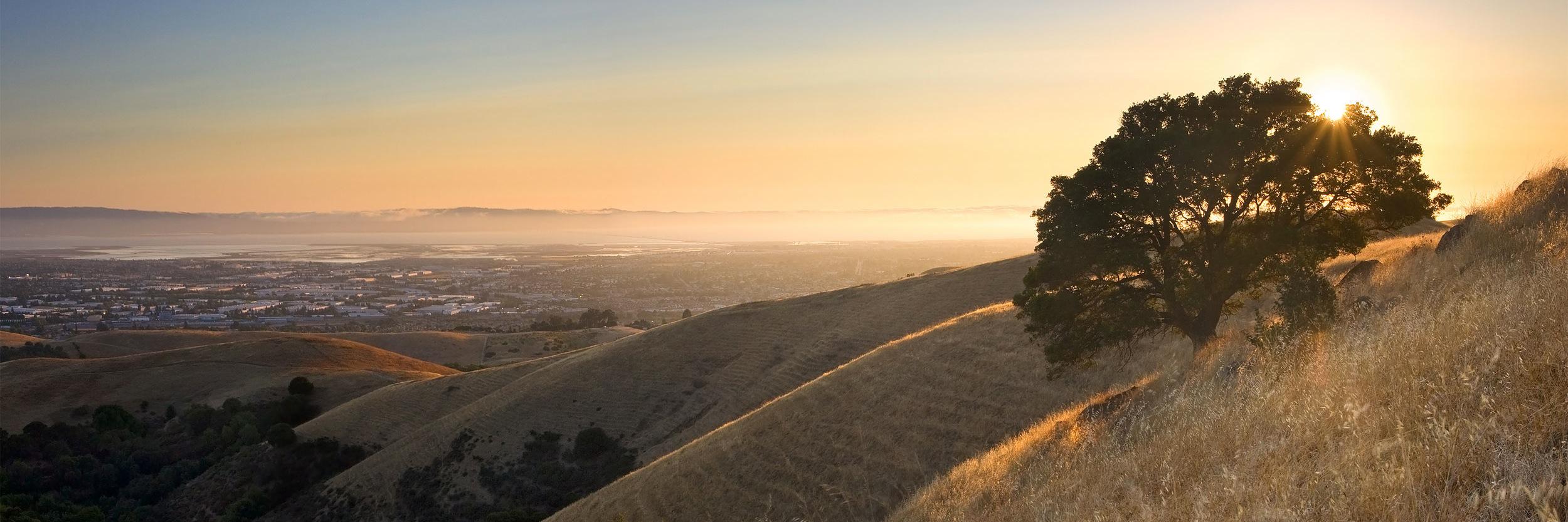 GoldenStateMarketing banner