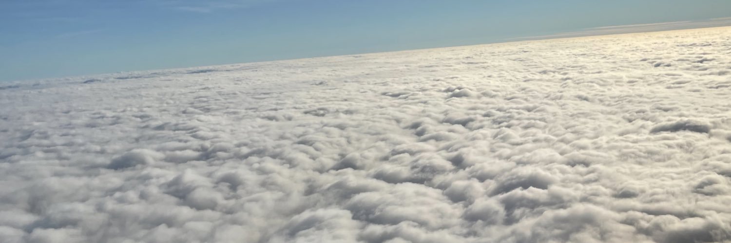 lizabethsalt's profile banner image