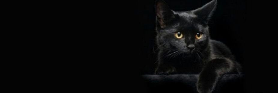 maryymels's profile banner image