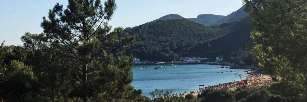 beatrizScarvalh's profile banner image