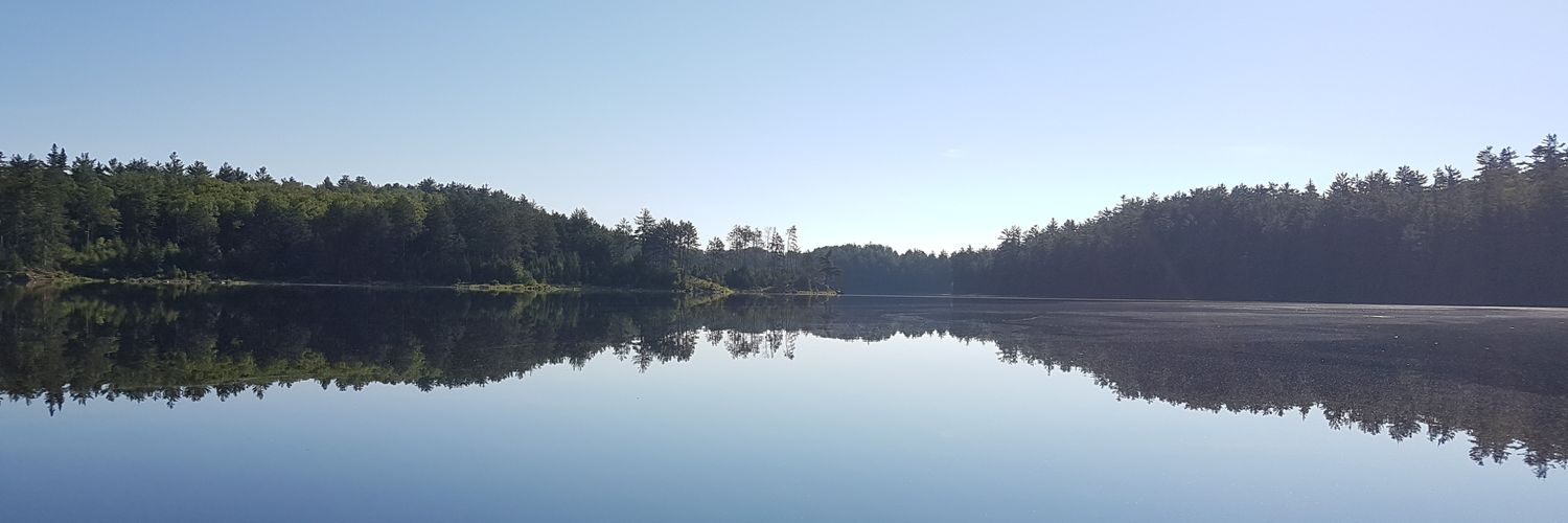 afewtrell's profile banner image