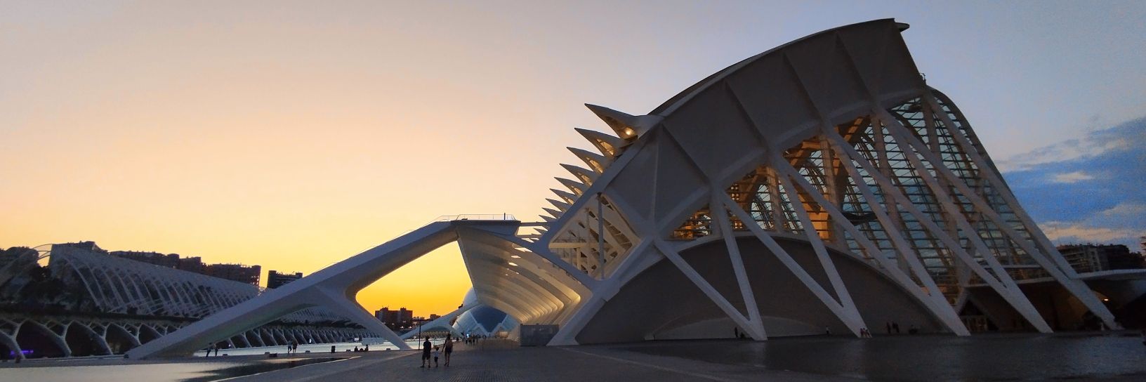 Gérald Elbaze Pro banner