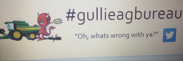 Dane Somerville banner