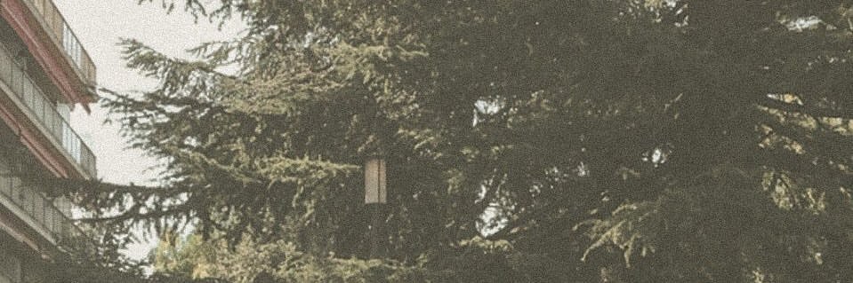 harrylepresbyte's profile banner image