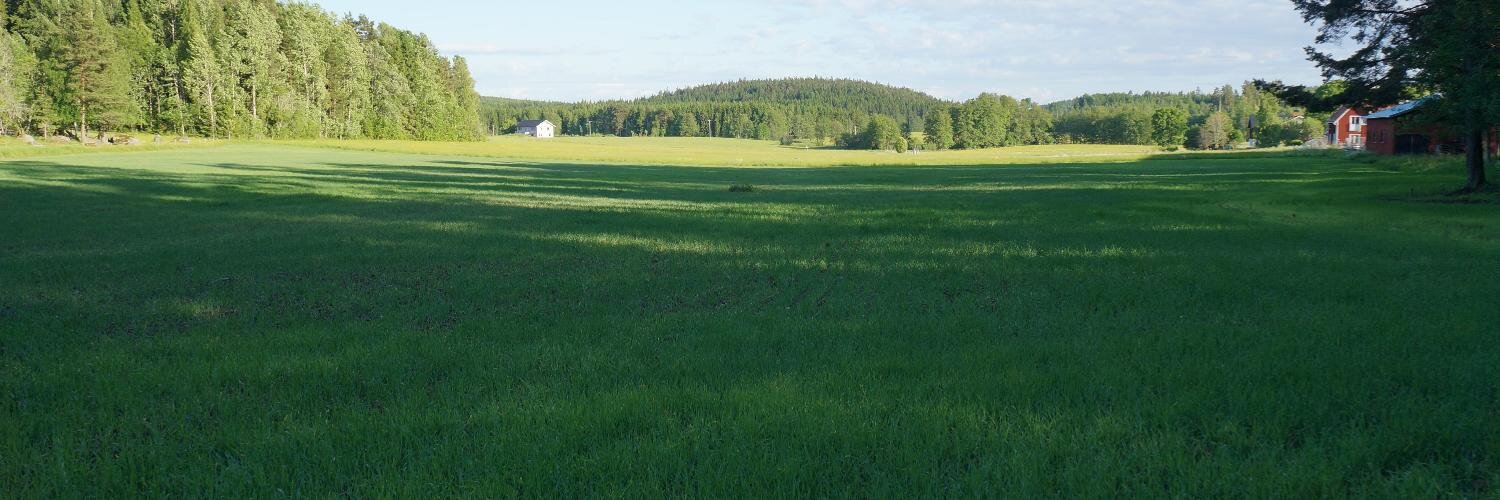 AgronomMartin's profile banner image