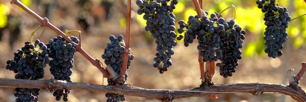 mg_clairdelune Profile Banner