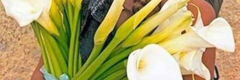 kikeadagio's profile banner image