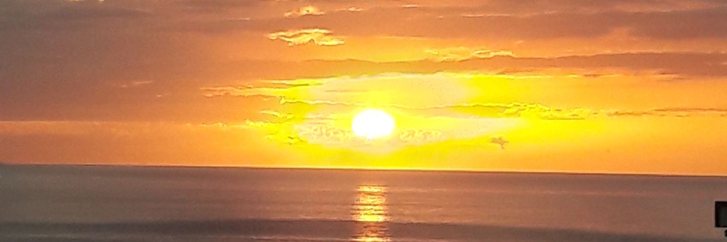 Stemonfe's profile banner image
