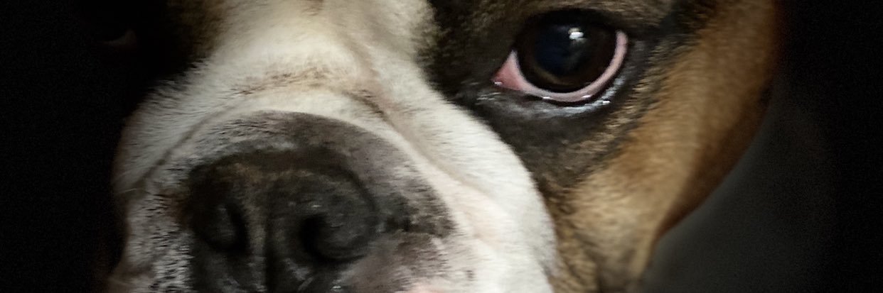 janethayles19's profile banner image