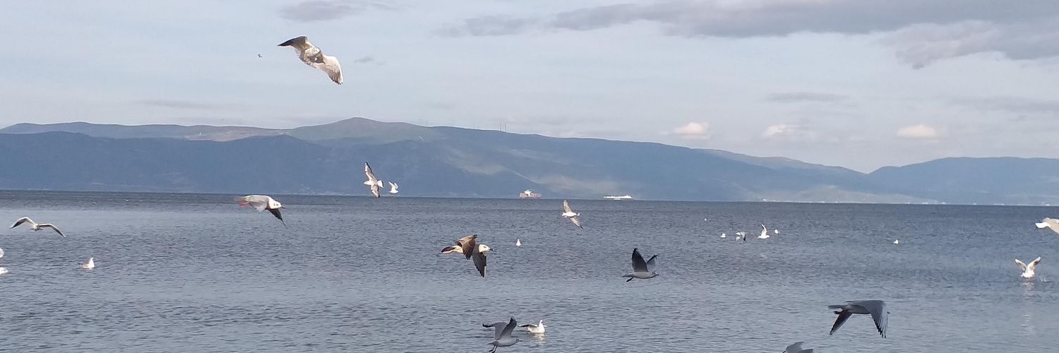 tulinkoc's profile banner image