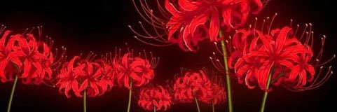 vuq132's profile banner image