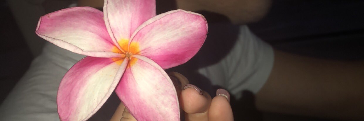SmithDanee's profile banner image