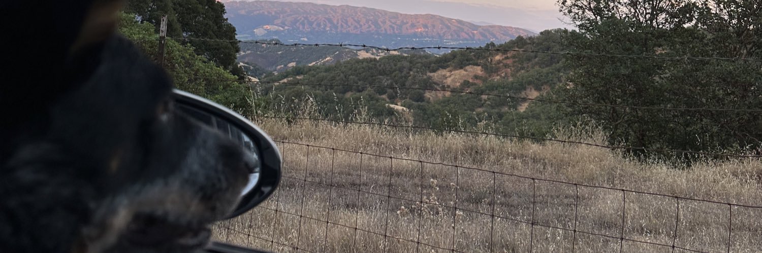 _sydneysanchez's profile banner image