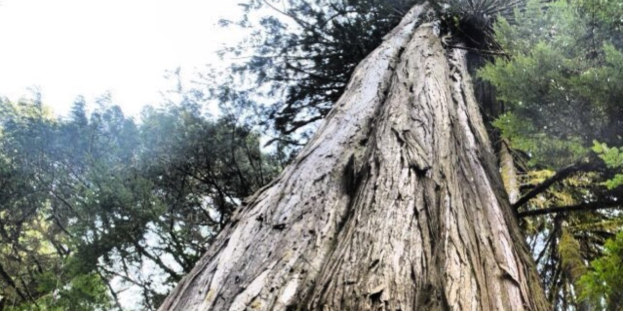 alliybagshaw's profile banner image