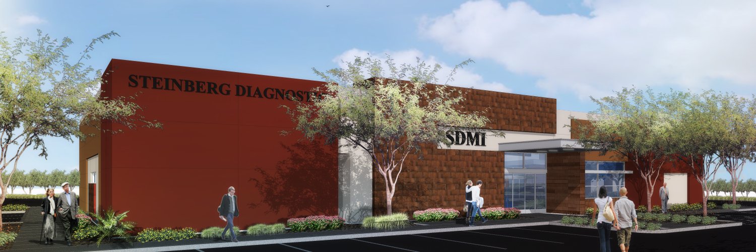 Steinberg Diagnostic banner