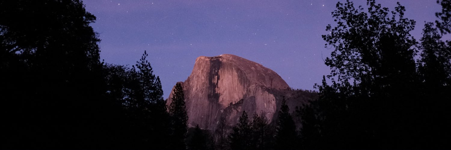 Alex Fitzpatrick banner