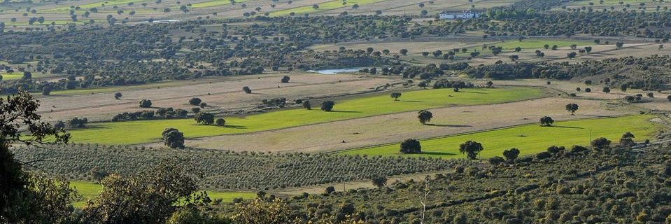 SlowRural's profile banner image
