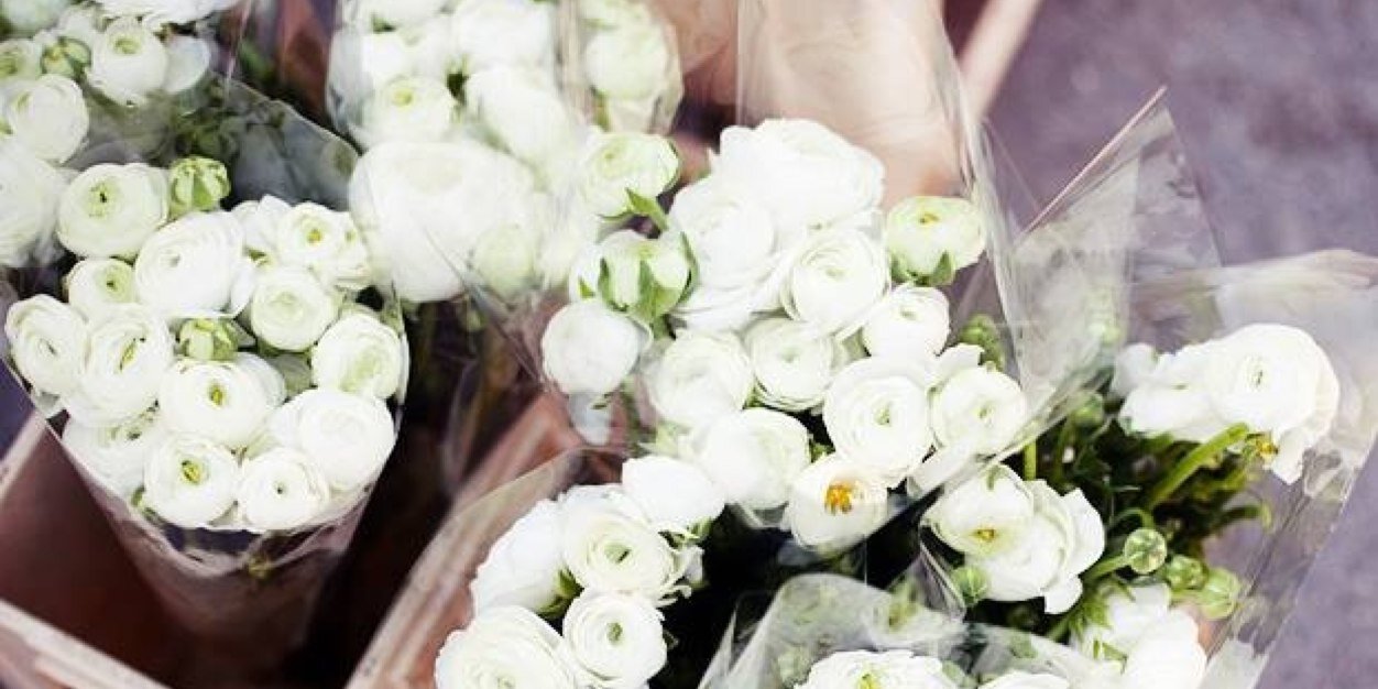 reneechen99's profile banner image
