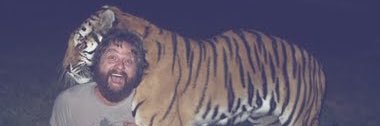 mcflyflyfly's profile banner image