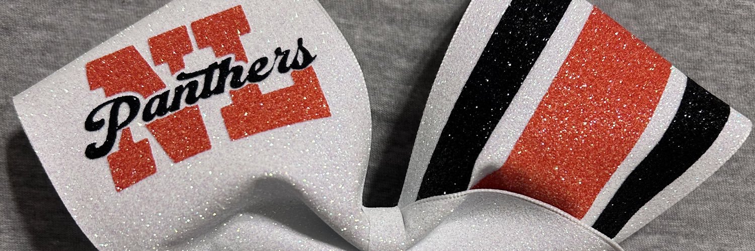 nlhscheercoach's profile banner image
