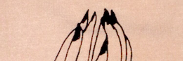 Phoenix_slc_'s profile banner image