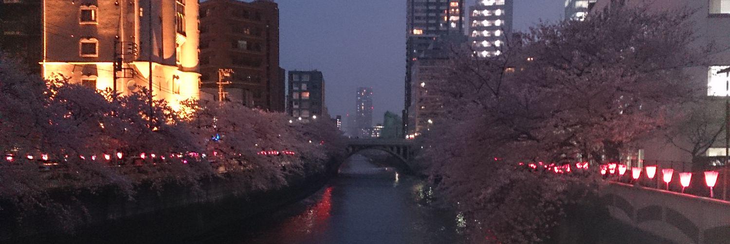 toshi_chan0929's profile banner image