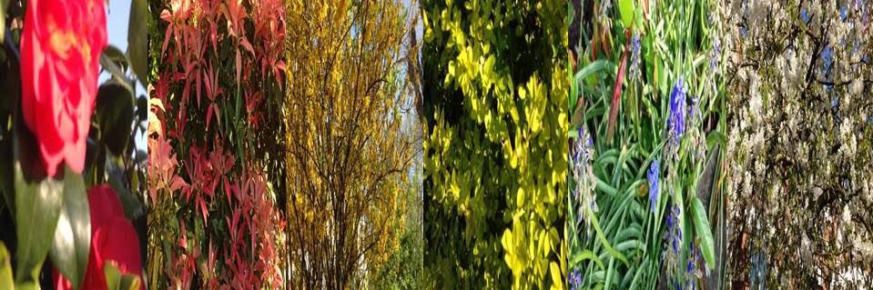 Julie E Russell banner